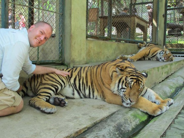 Petting sleeping tigers