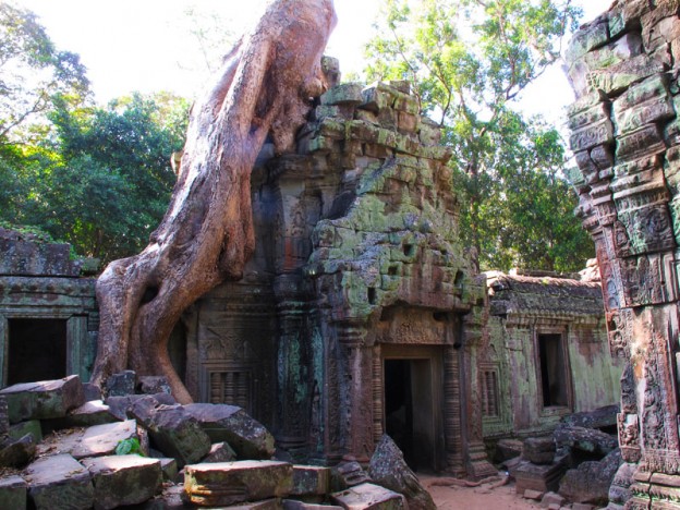 Overgrown Temple, Angkor, Cambodia