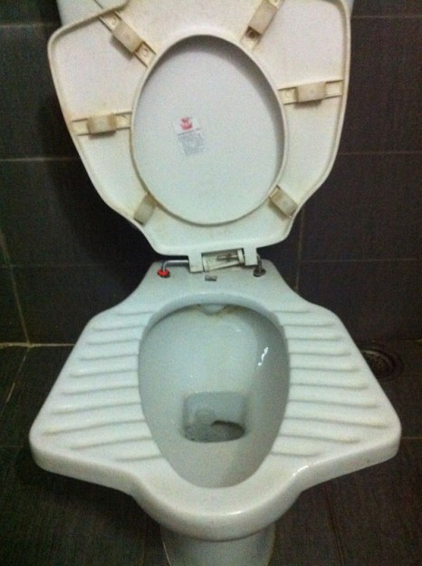 Combo squat/Western toilet