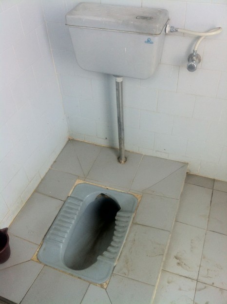 Flush squat toilet