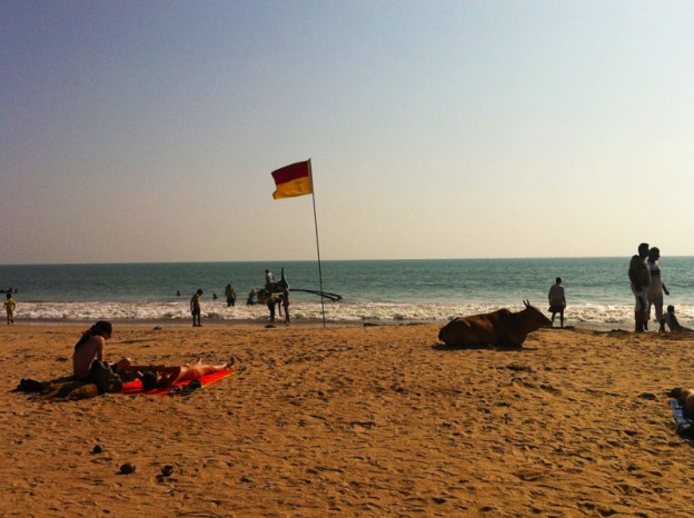 Palolem Beach, Goa