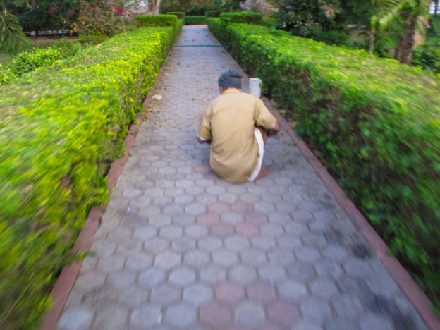 Gardner at a Jain Temple in Ranakpur, India