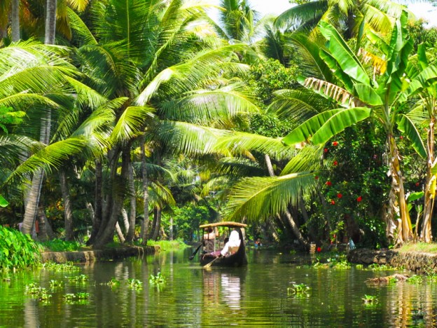 Backwaters, Kerala