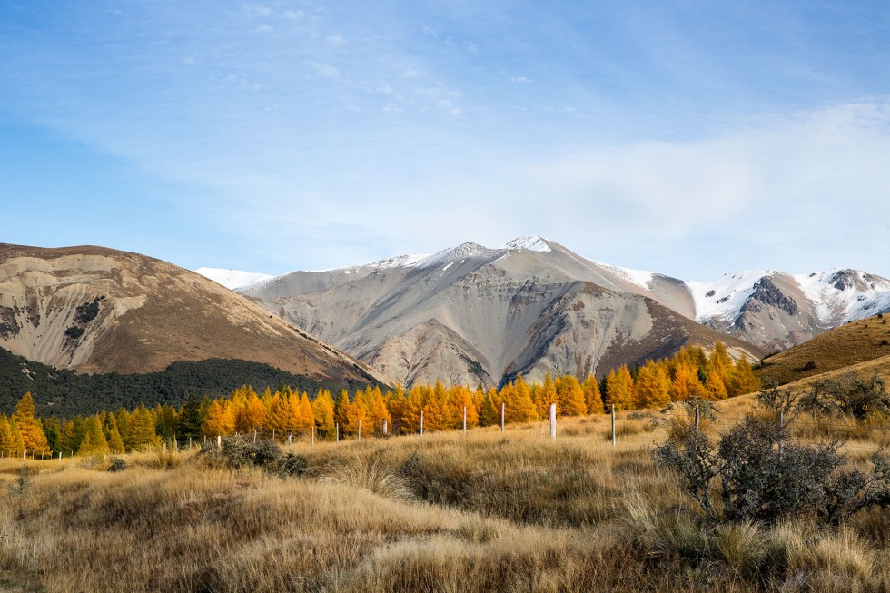 Mount Temple, New Zealand