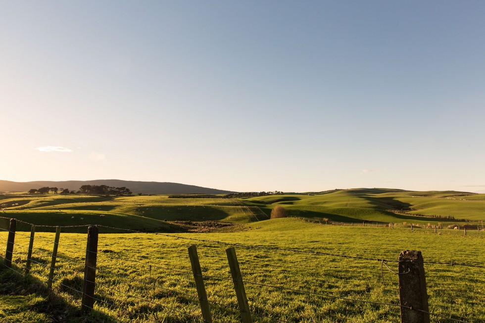 Southern Scenic Route, New Zealand