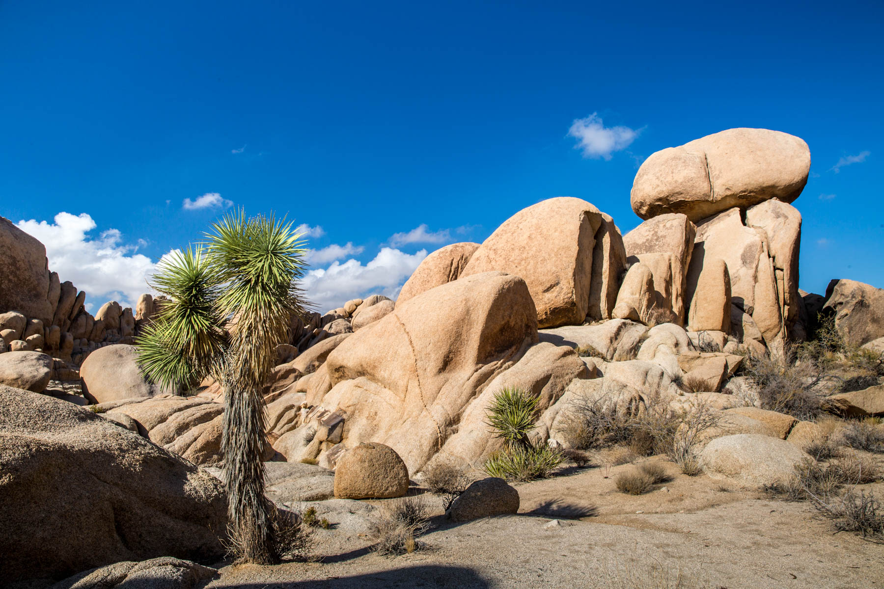 Joshua Tree Jumbo Rocks