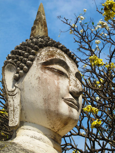 Buddhas, Ayutthaya, Thailand