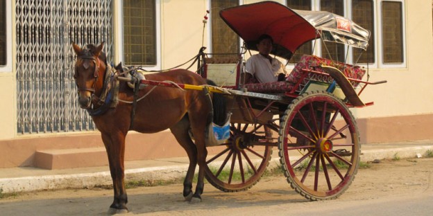 Horse-Drawn Carrigage, Bagan, Burma