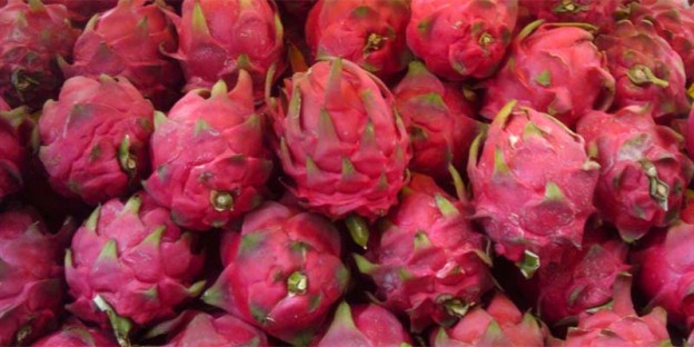 Kaeo Mangkon (Dragon Fruit)