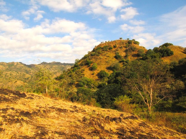 Komodo Island landscape