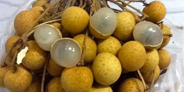 Lam Yai (Longan)