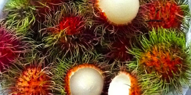 Ngoh (Rambutan)